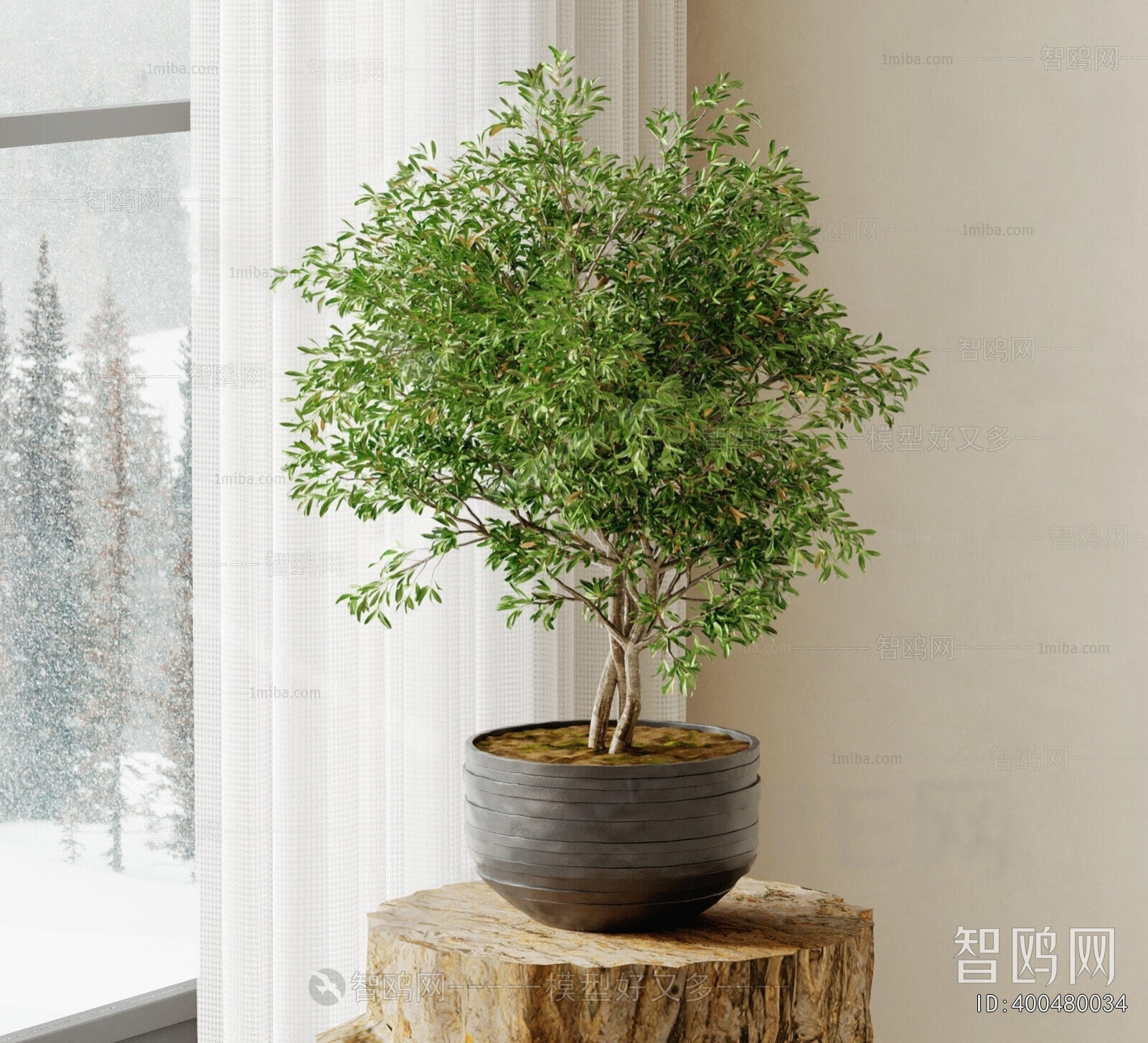 Modern Potted Green Plant