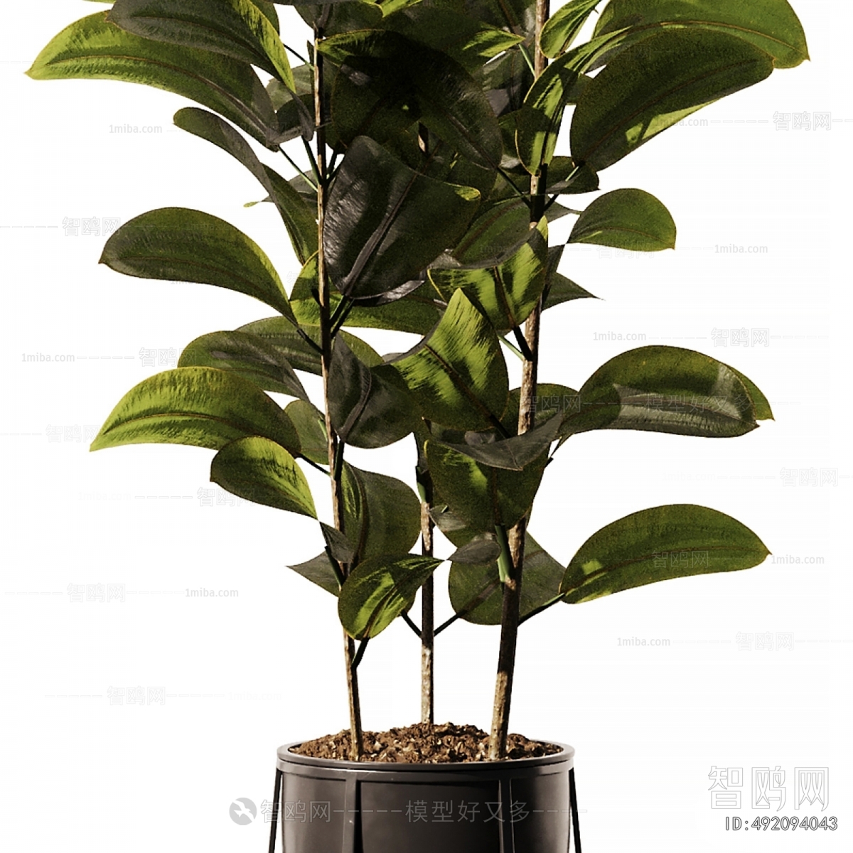 Modern Ground Green Plant Potted Plants
