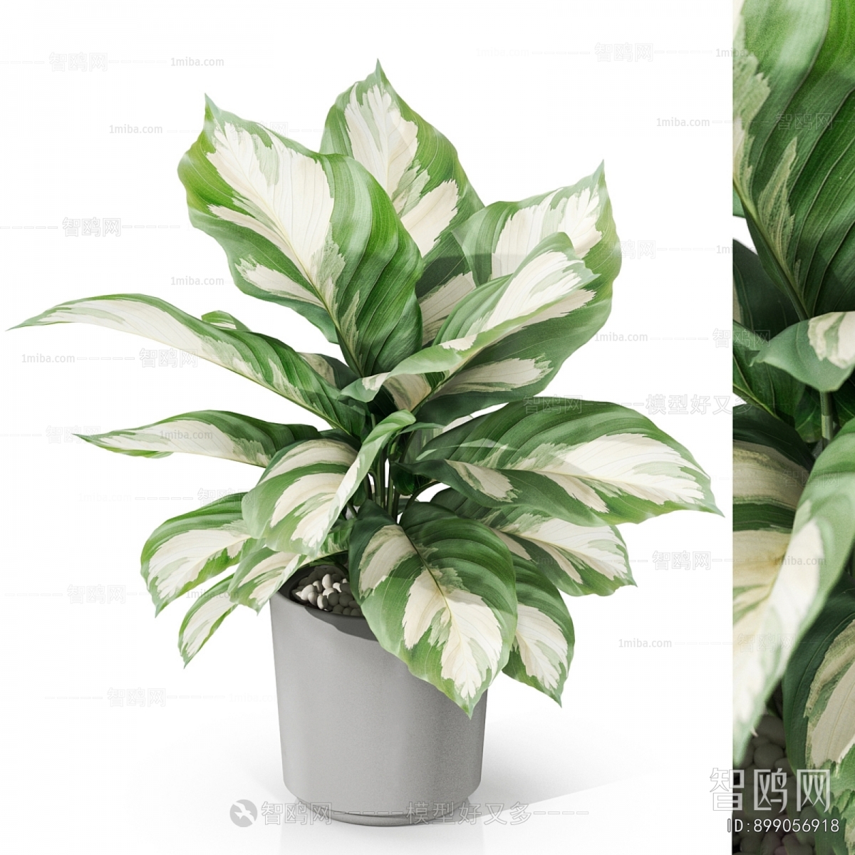 Modern Desktop Plant