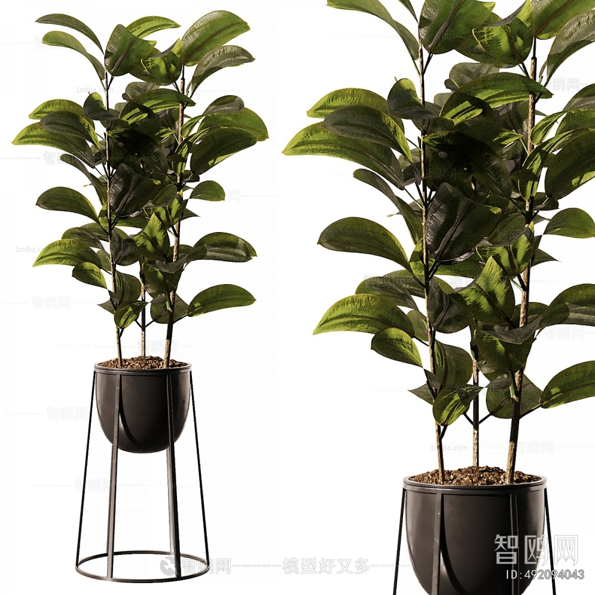 Modern Ground Green Plant Potted Plants