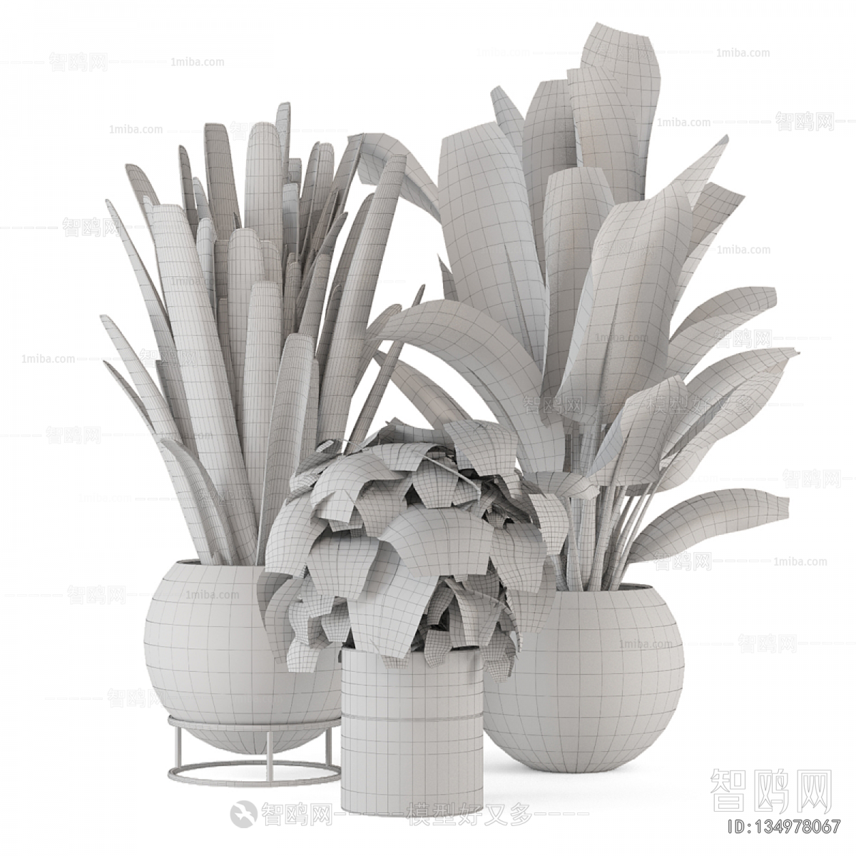 Modern Ground Green Plant Potted Plants