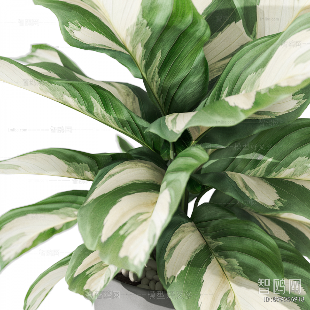 Modern Desktop Plant