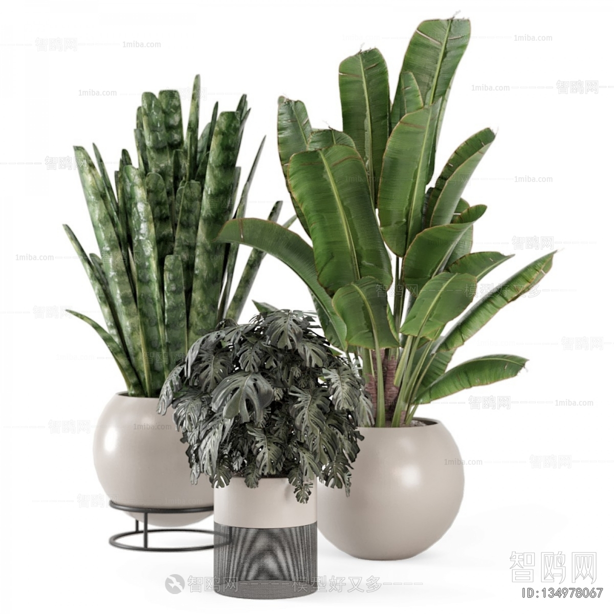 Modern Ground Green Plant Potted Plants