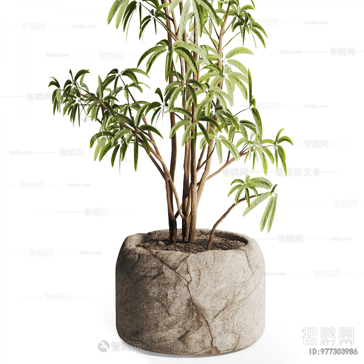 Modern Ground Green Plant Potted Plants