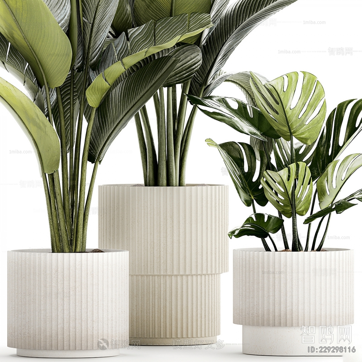 Modern Ground Green Plant Potted Plants