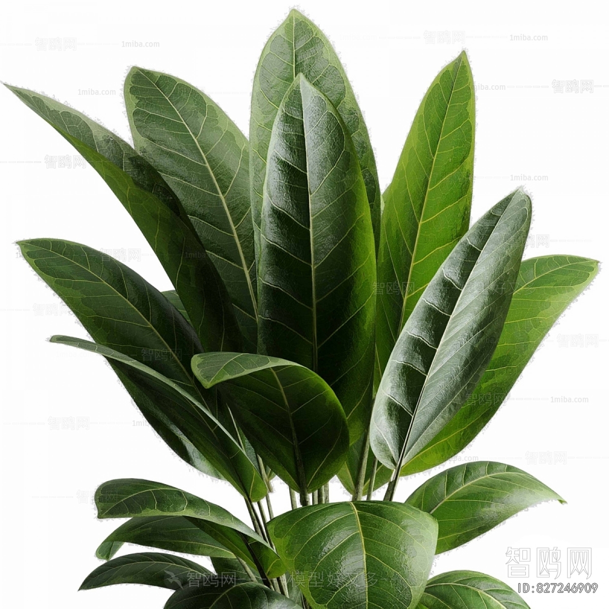Modern Ground Green Plant Potted Plants