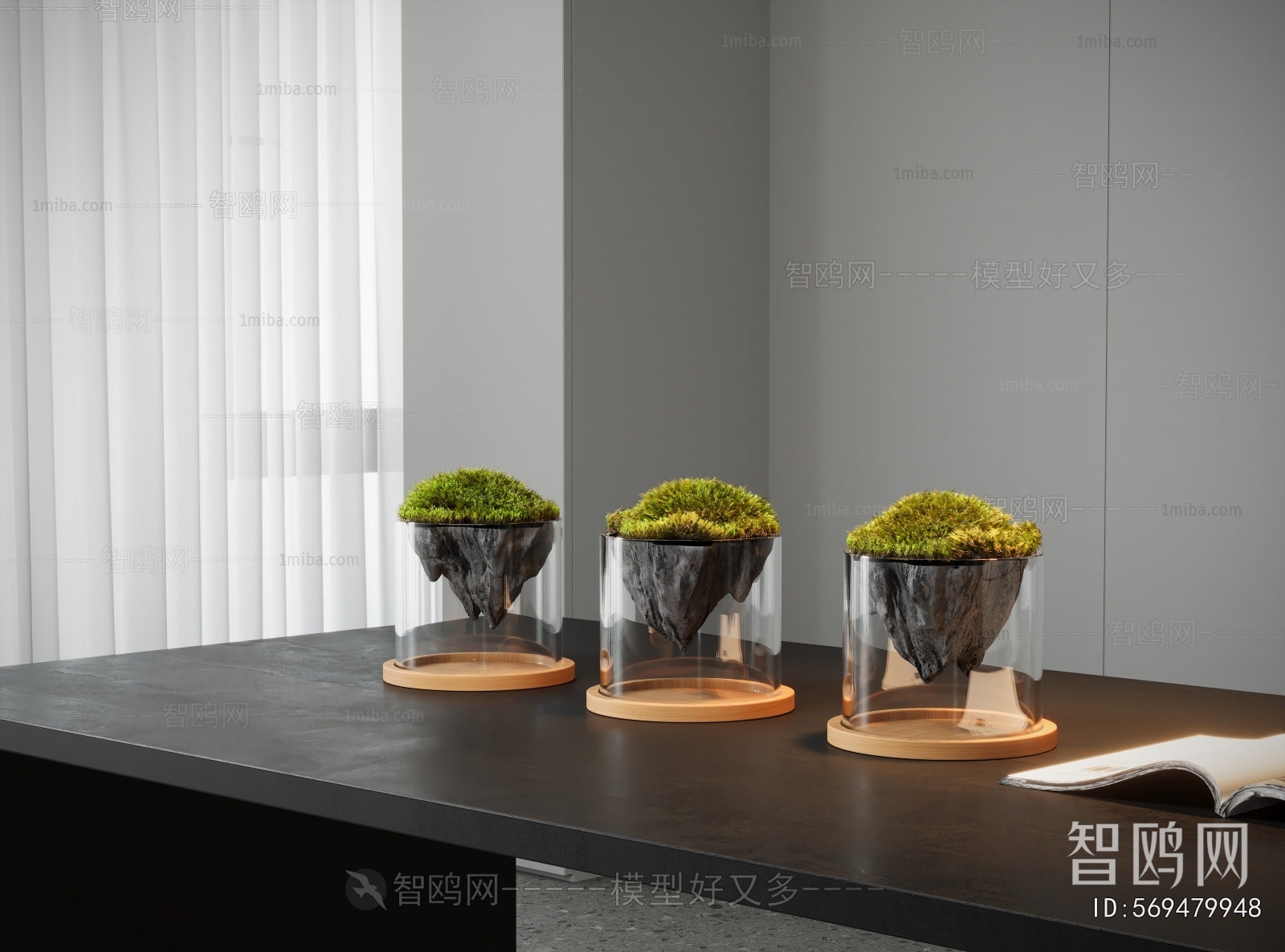 Modern Desktop Plant