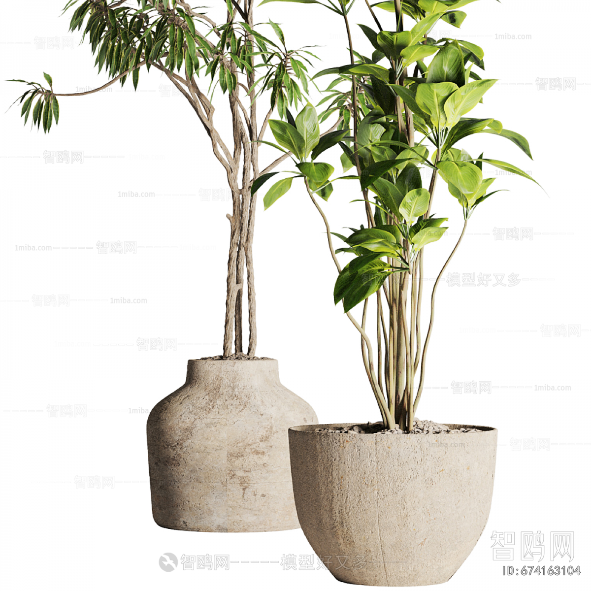 Modern Ground Green Plant Potted Plants