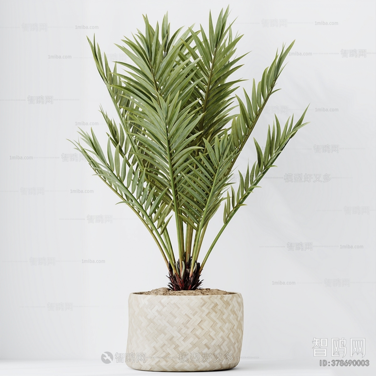 Modern Ground Green Plant Potted Plants