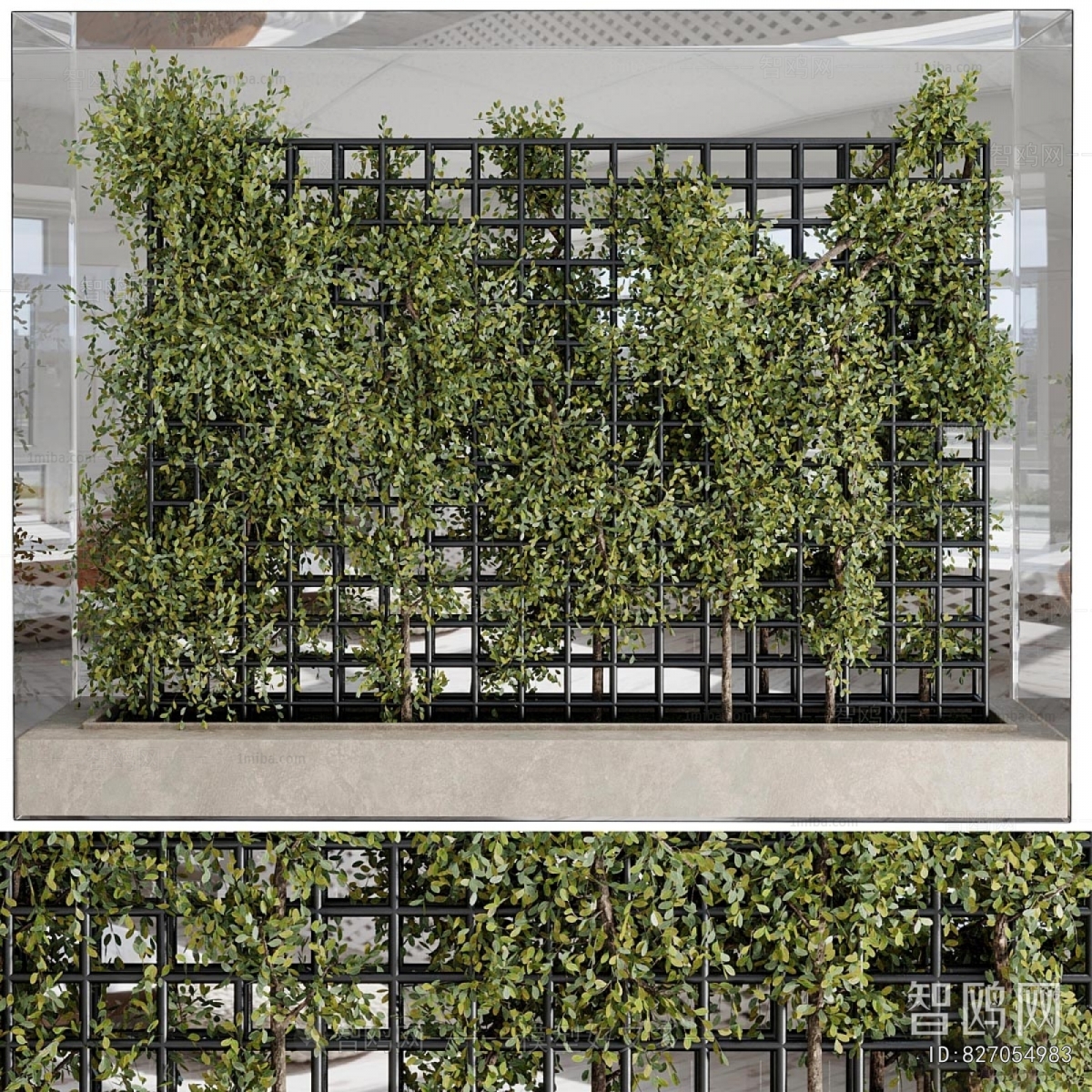 Modern Plant Wall
