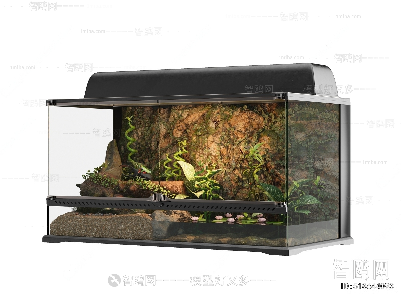 Modern Fish Tank