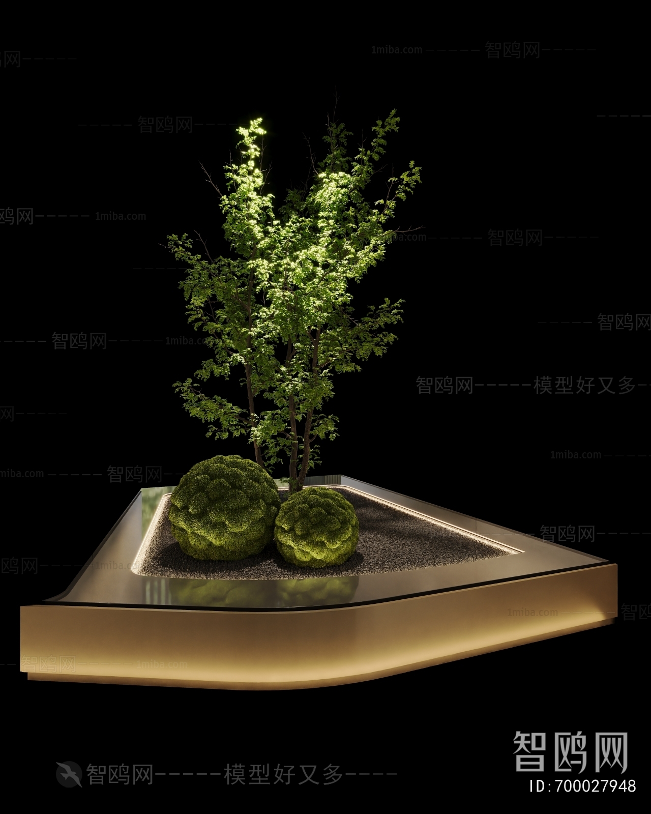 Modern Plant Landscaping