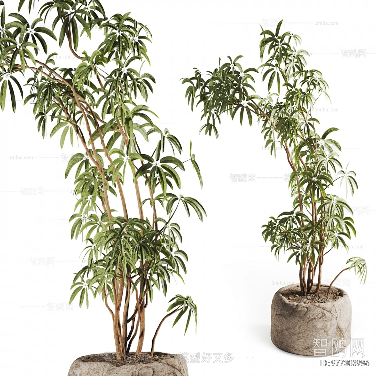 Modern Ground Green Plant Potted Plants