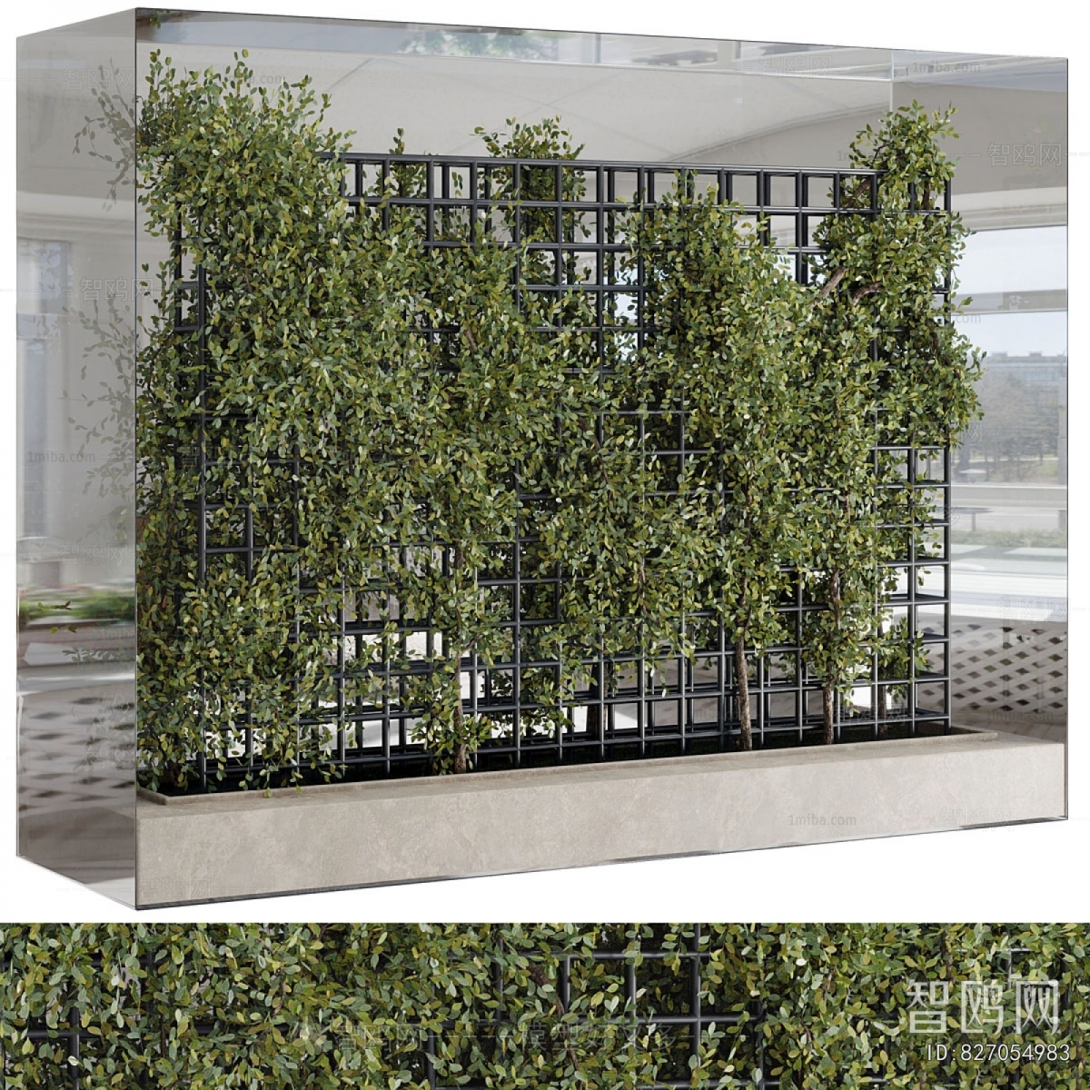 Modern Plant Wall