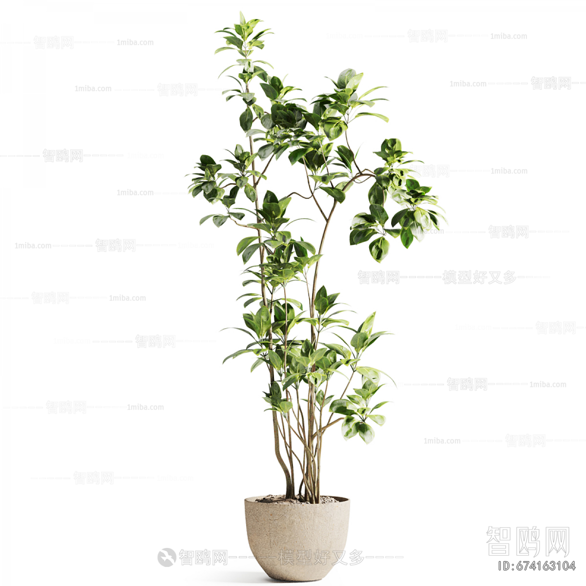 Modern Ground Green Plant Potted Plants