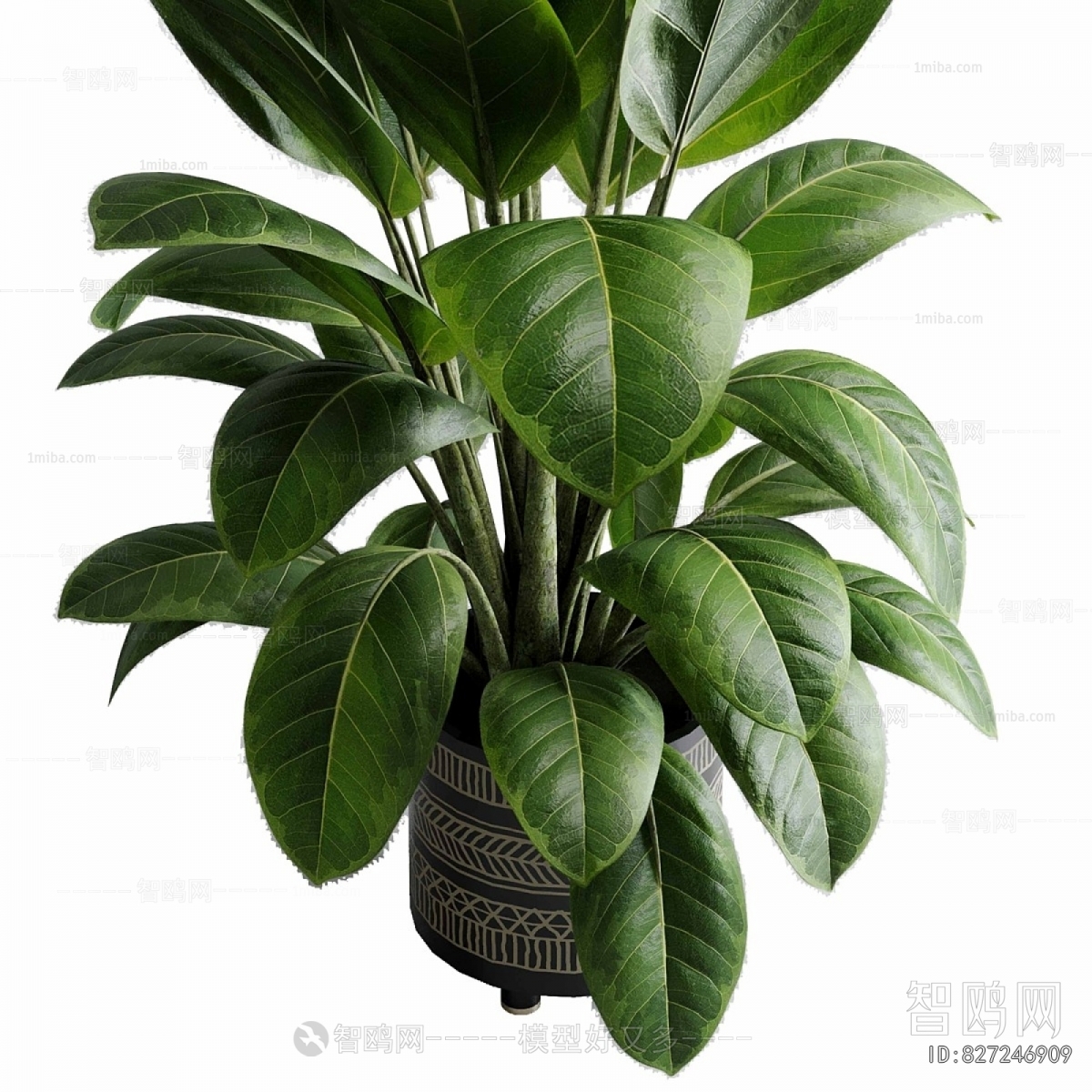 Modern Ground Green Plant Potted Plants
