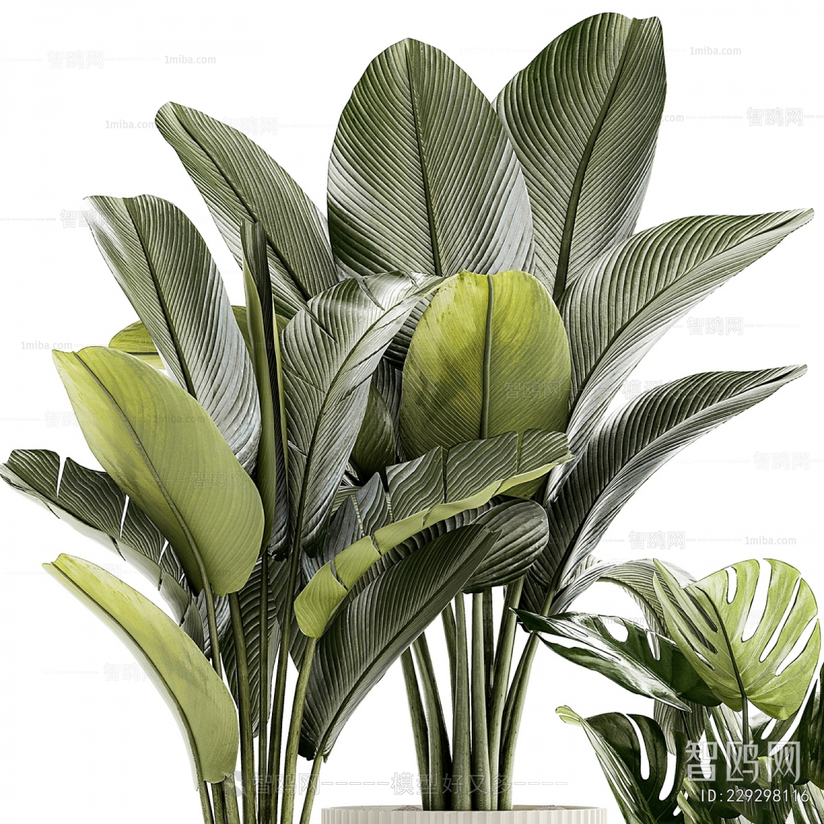 Modern Ground Green Plant Potted Plants