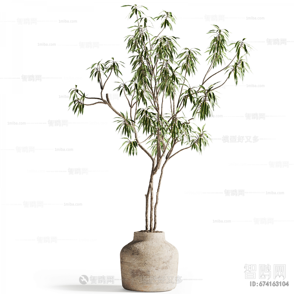 Modern Ground Green Plant Potted Plants