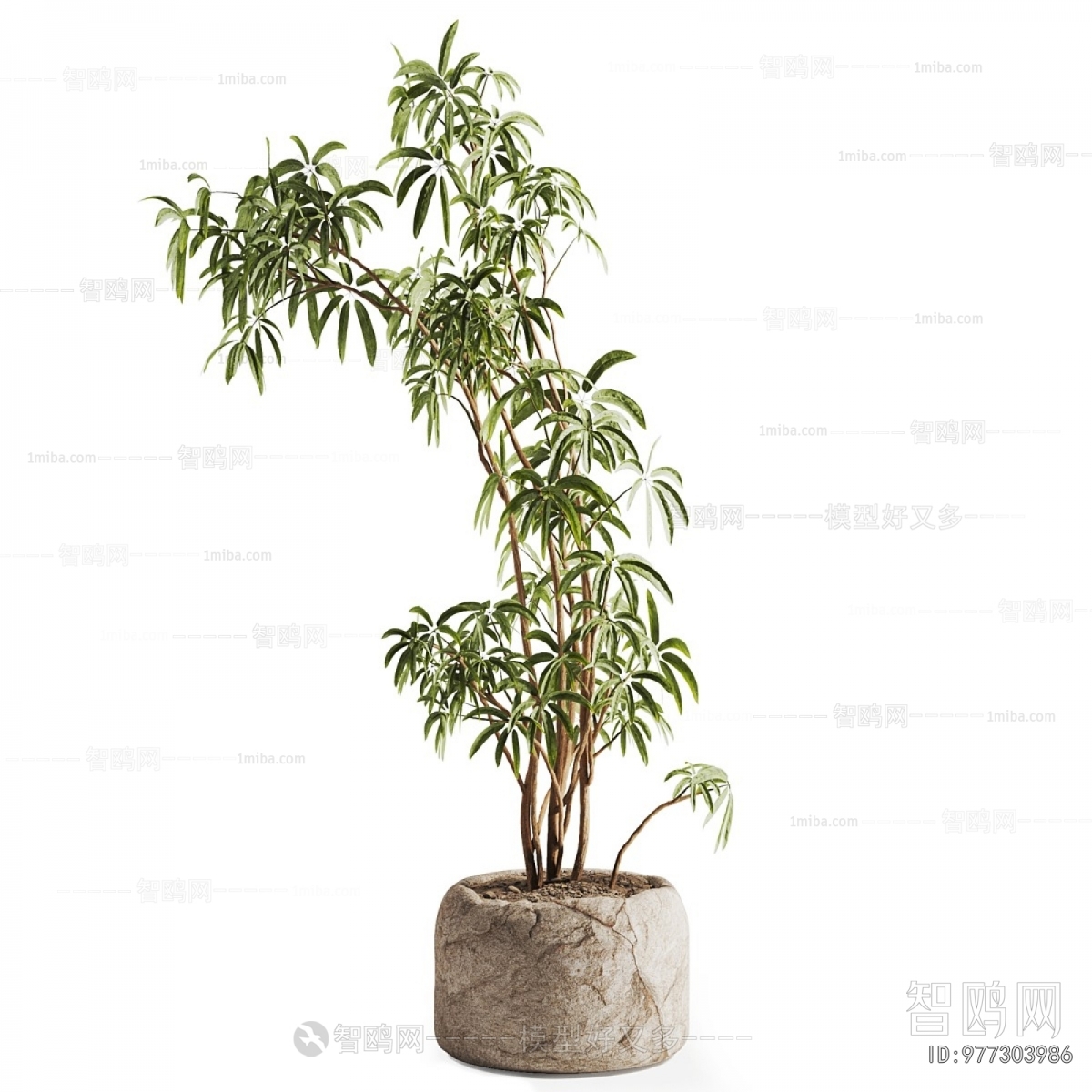 Modern Ground Green Plant Potted Plants