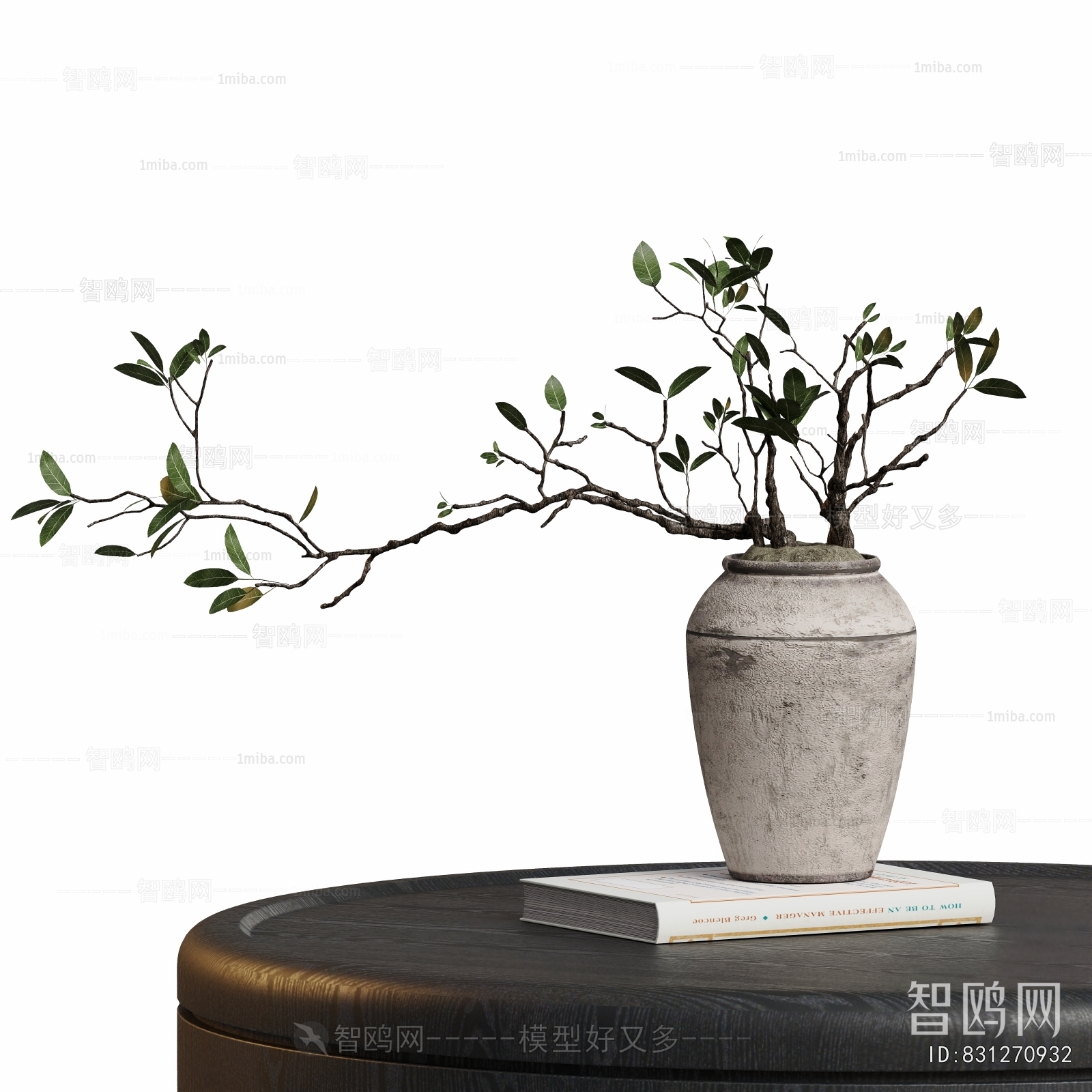 Modern Potted Green Plant