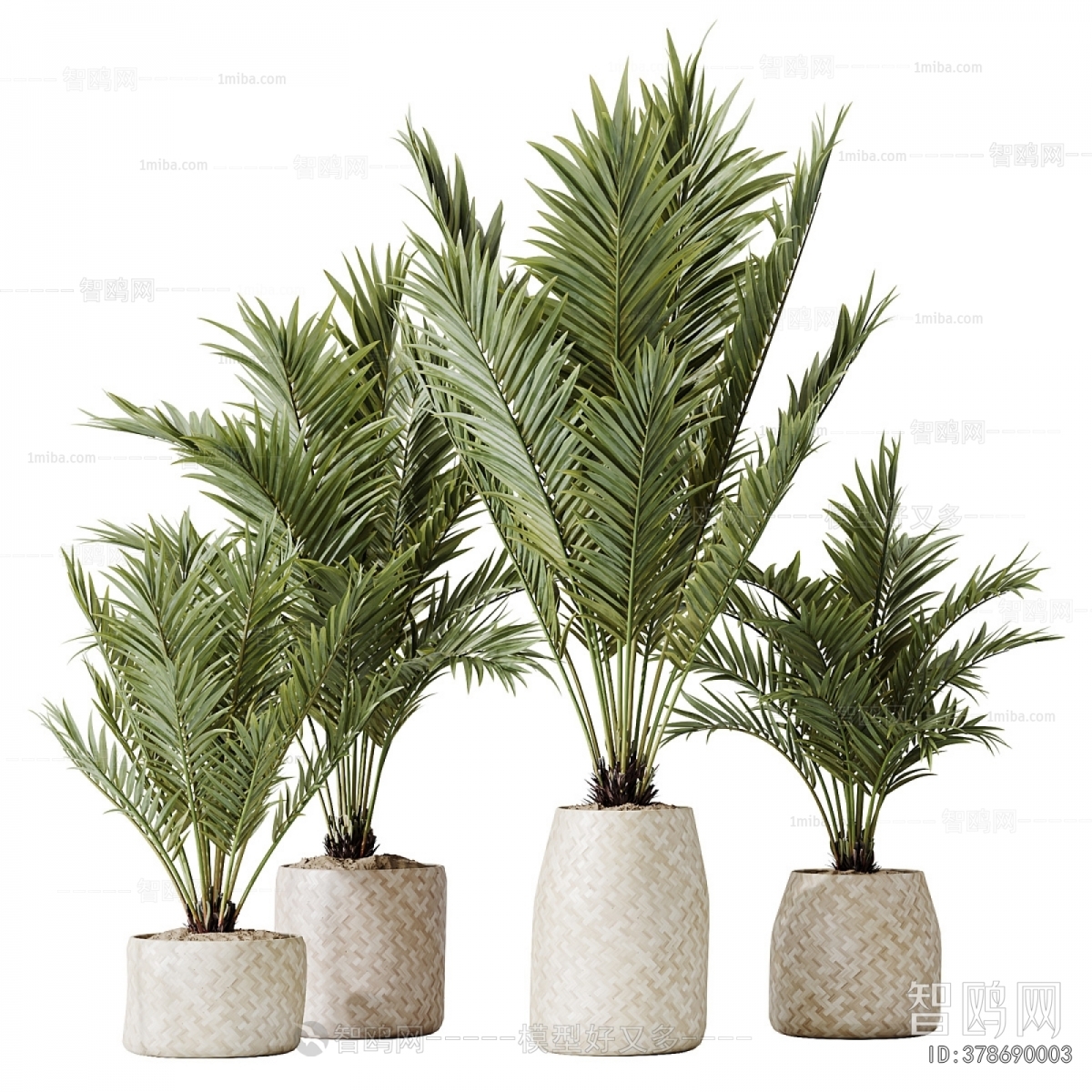 Modern Ground Green Plant Potted Plants