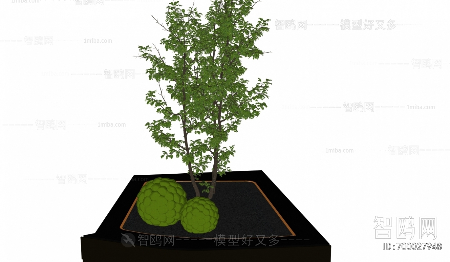 Modern Plant Landscaping