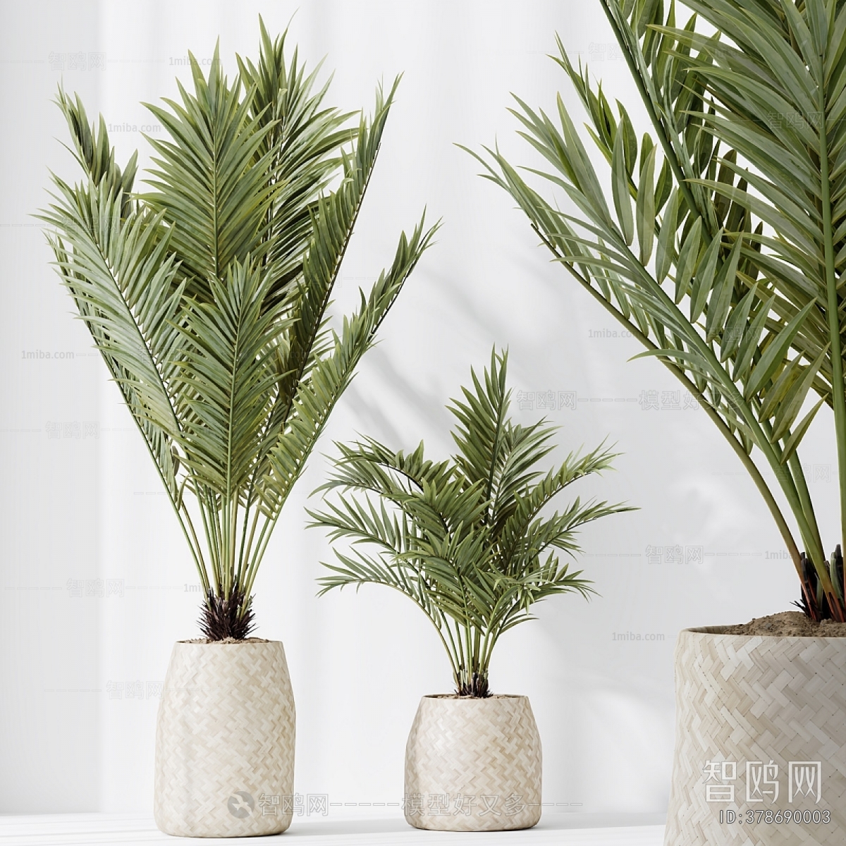 Modern Ground Green Plant Potted Plants
