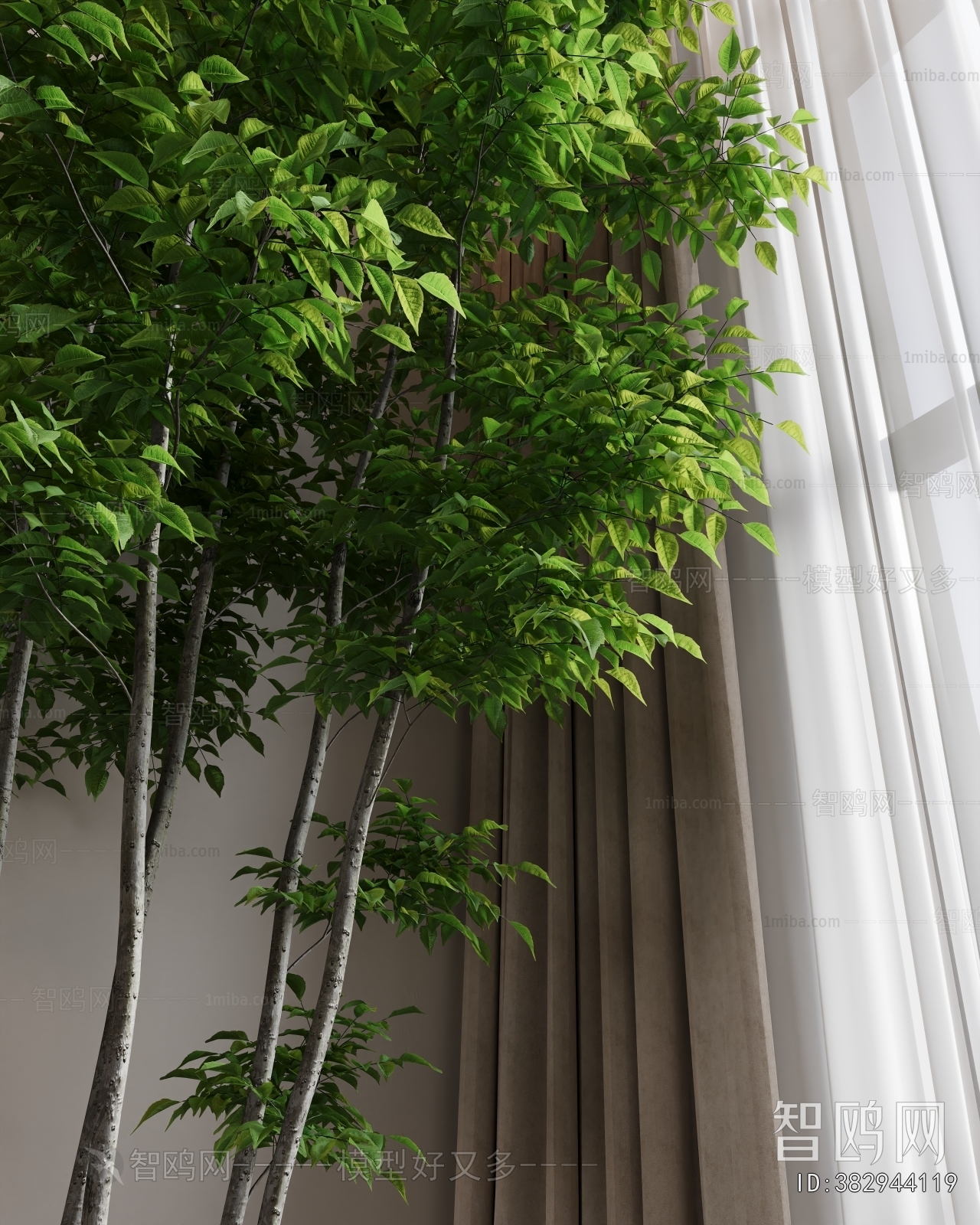 Modern Ground Green Plant Potted Plants