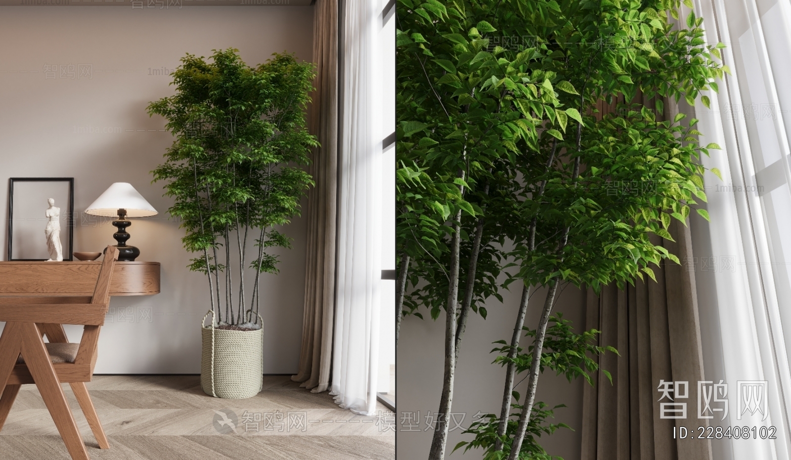 Modern Ground Green Plant Potted Plants