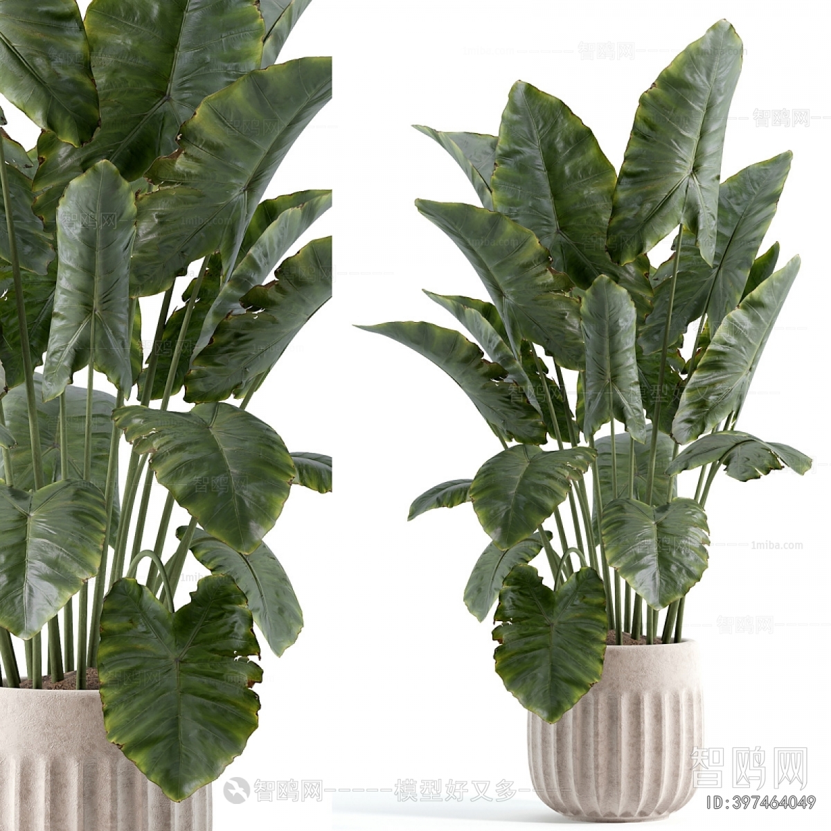 Modern Ground Green Plant Potted Plants