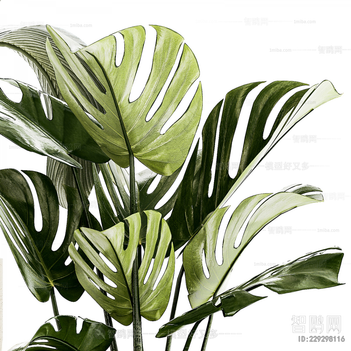 Modern Ground Green Plant Potted Plants