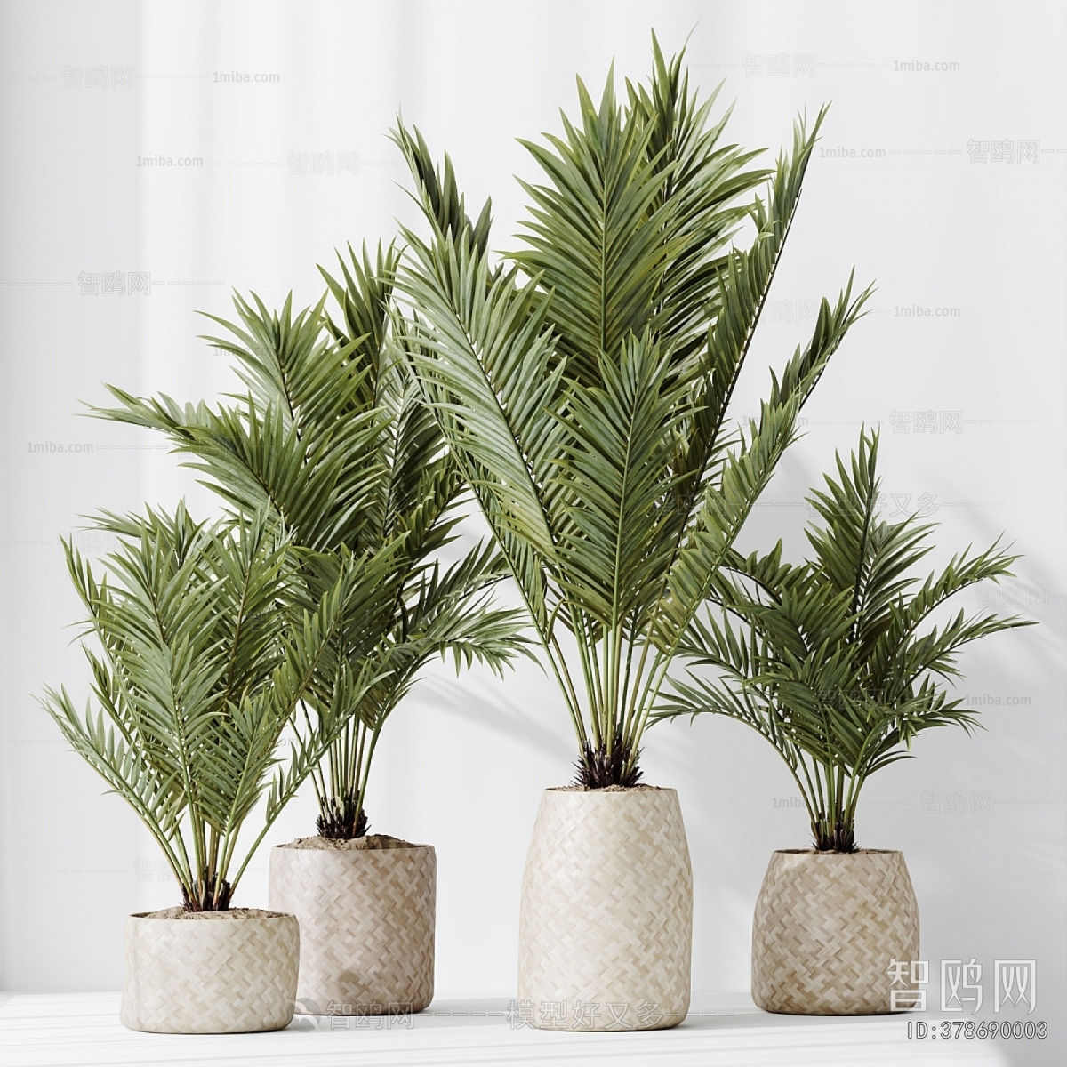 Modern Ground Green Plant Potted Plants