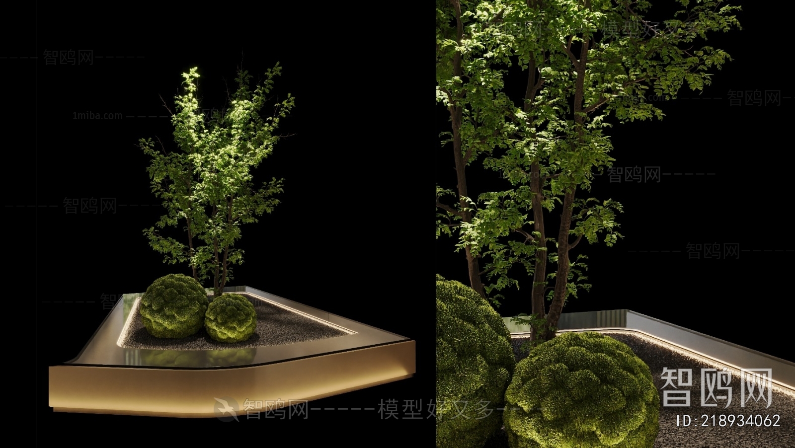 Modern Plant Landscaping