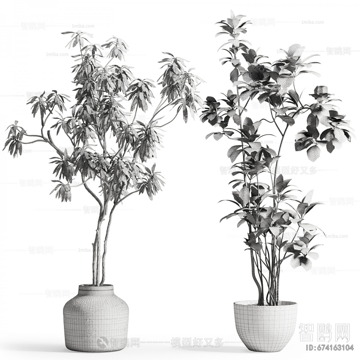 Modern Ground Green Plant Potted Plants
