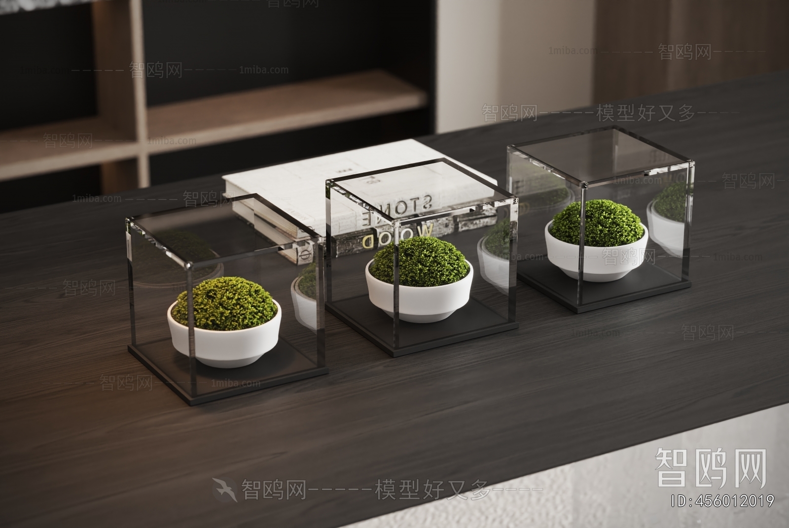 Modern Desktop Plant