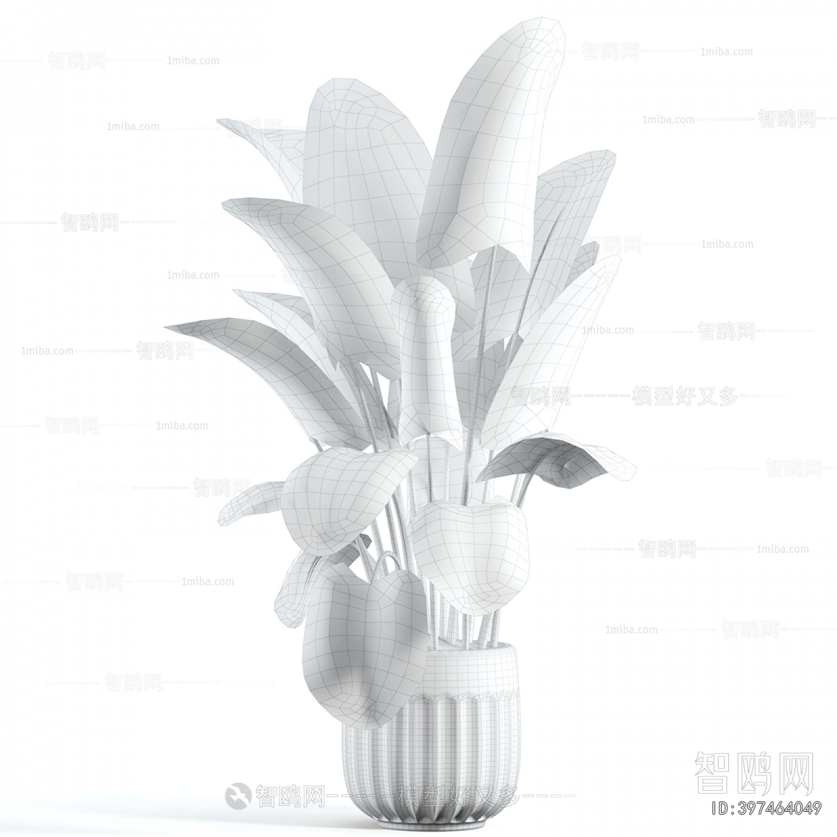 Modern Ground Green Plant Potted Plants