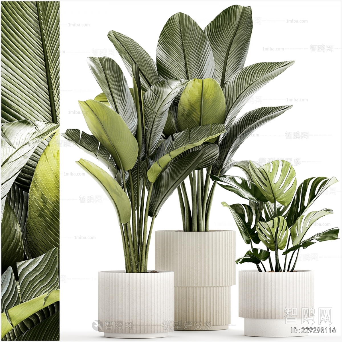 Modern Ground Green Plant Potted Plants