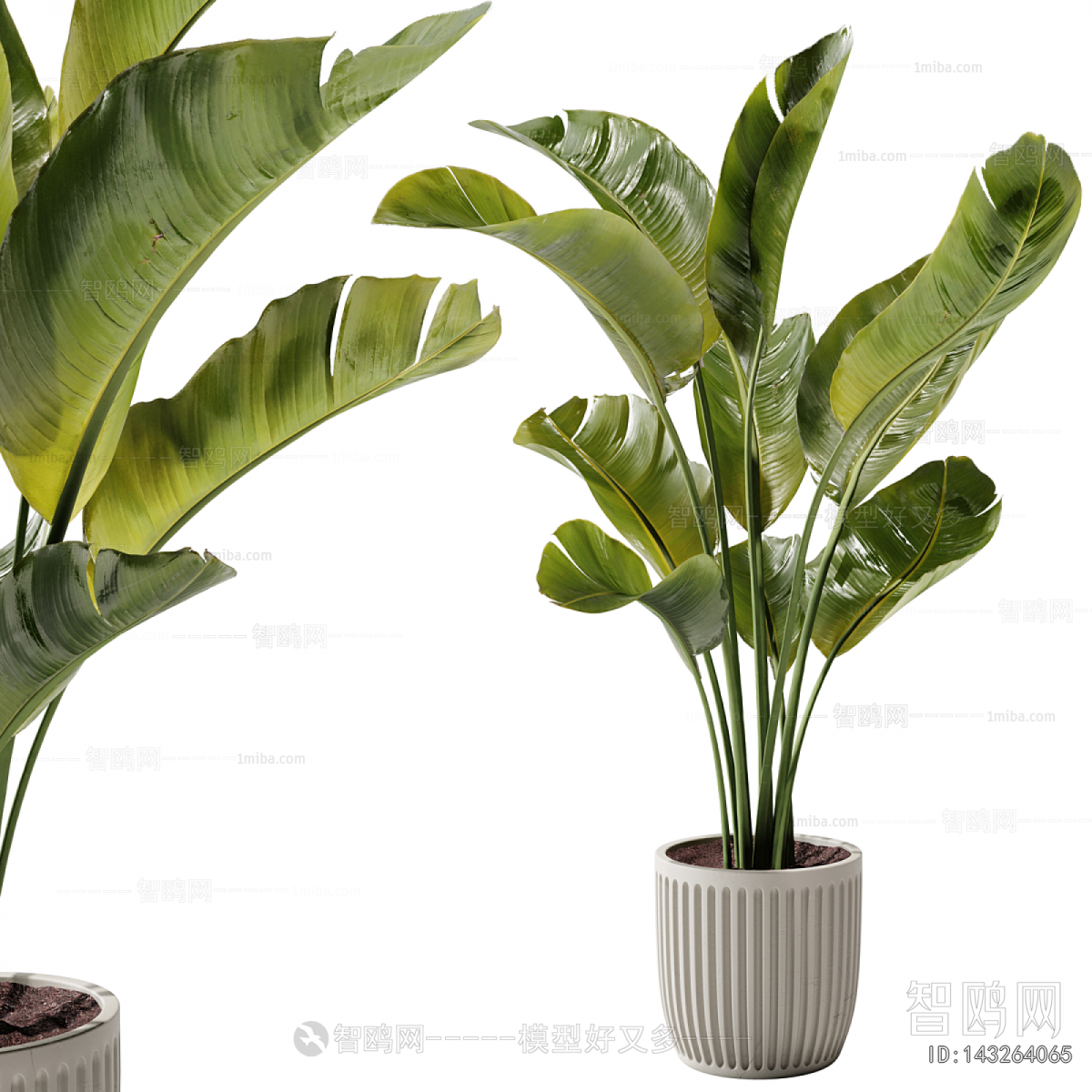 Modern Ground Green Plant Potted Plants