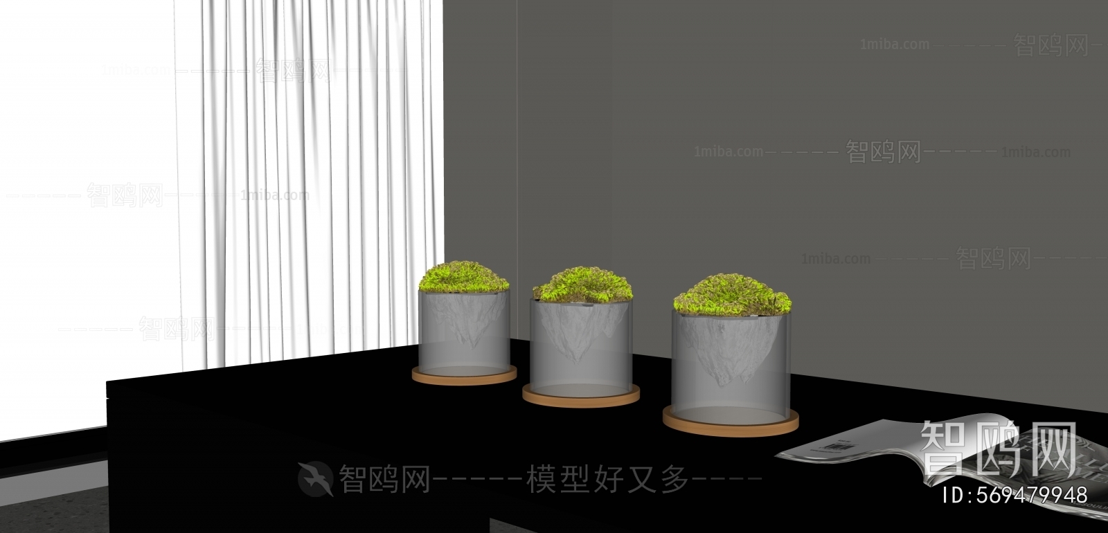 Modern Desktop Plant