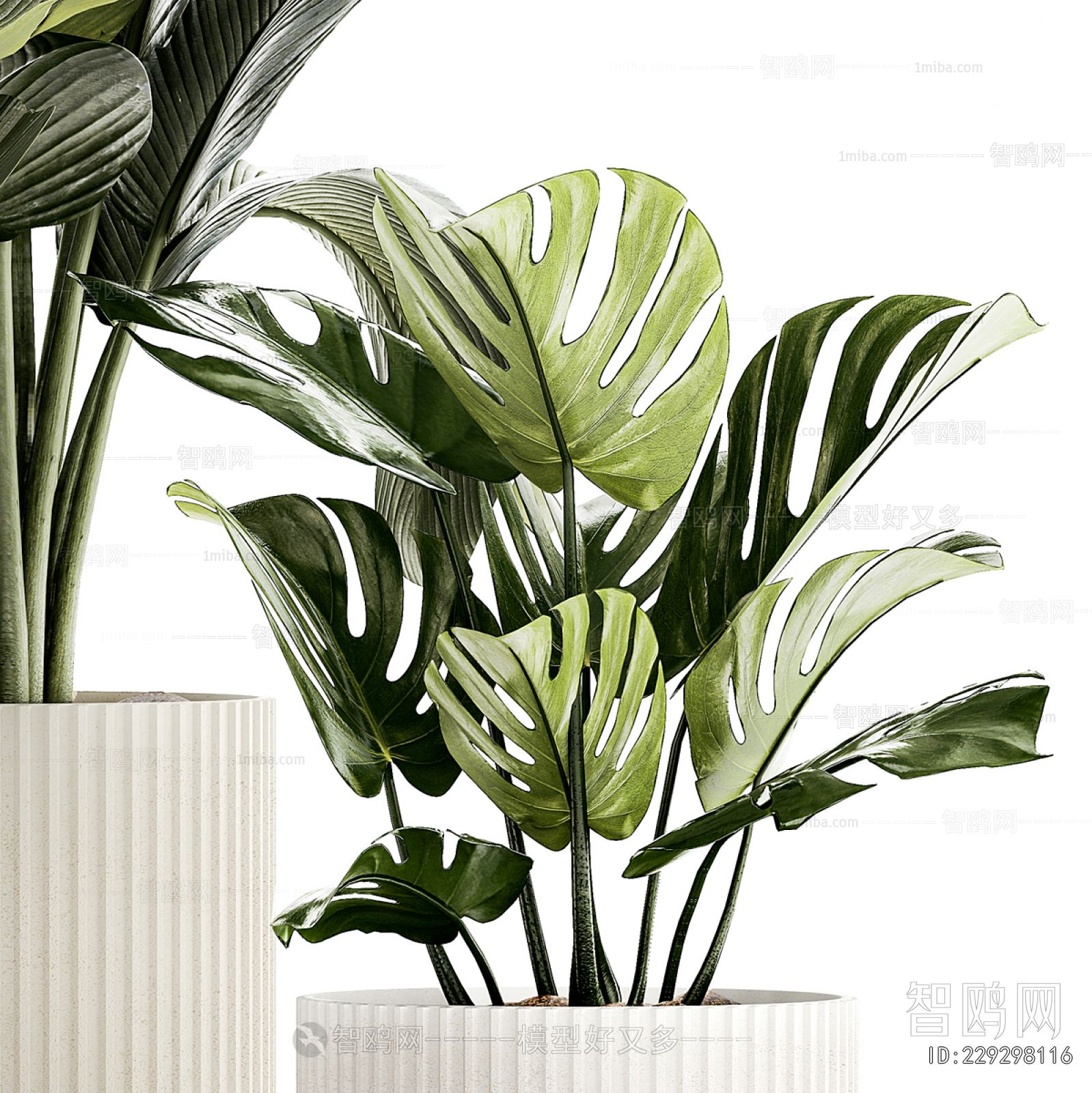 Modern Ground Green Plant Potted Plants