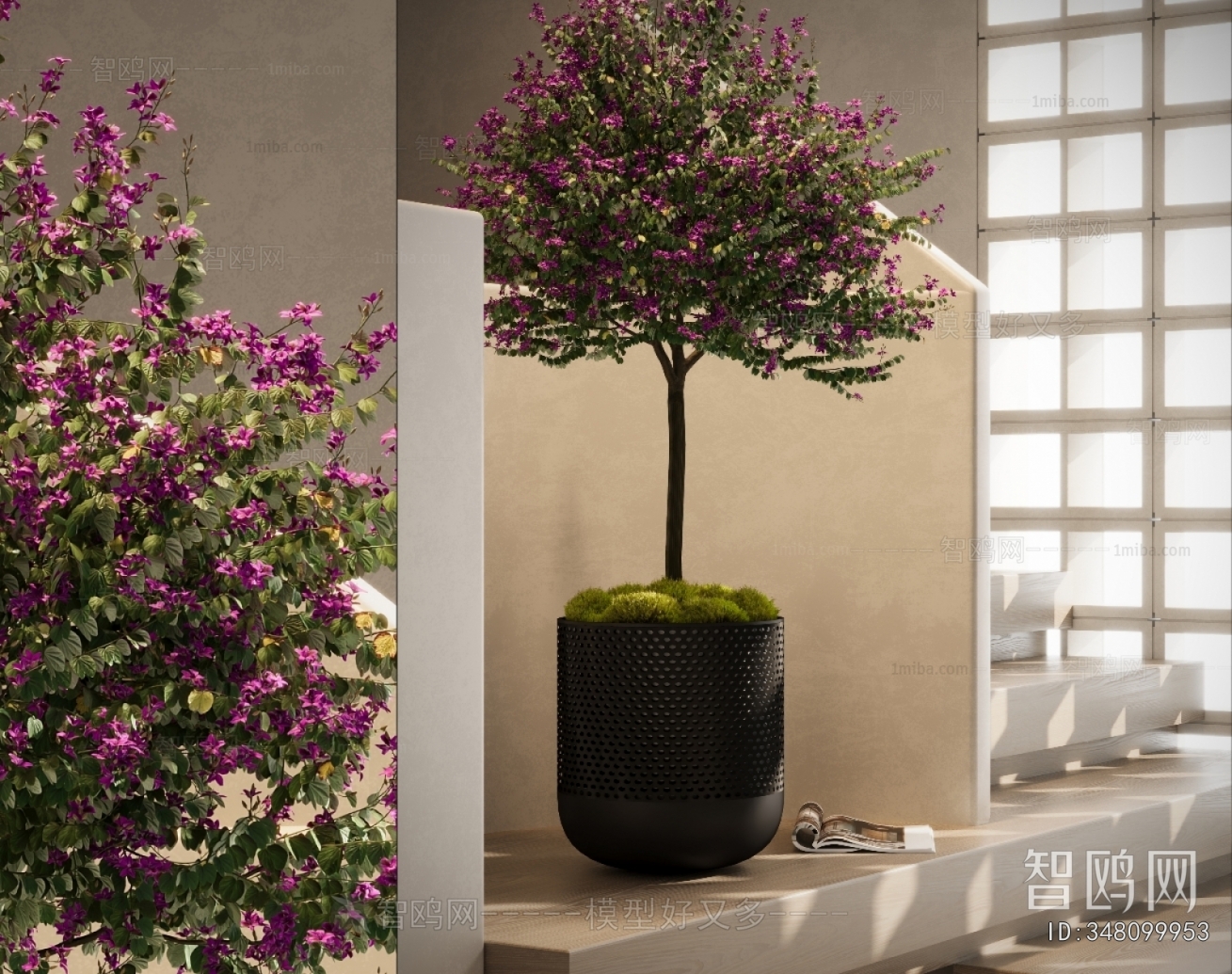 Modern Ground Green Plant Potted Plants