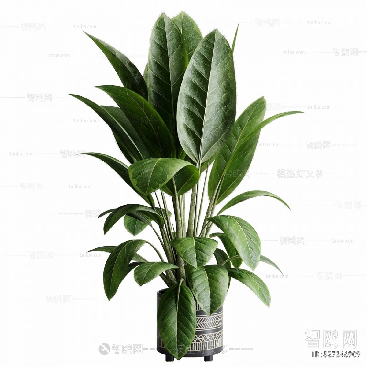 Modern Ground Green Plant Potted Plants