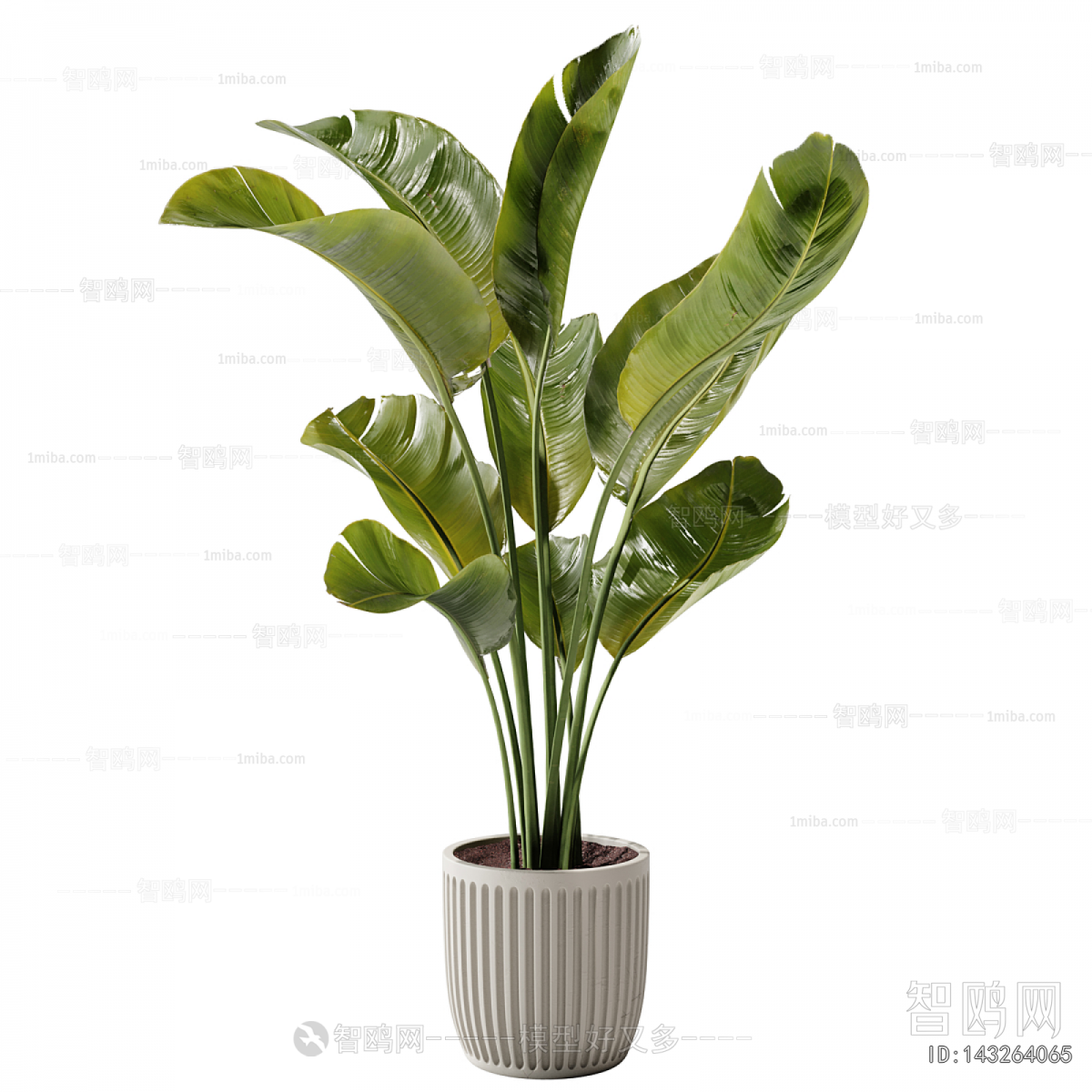 Modern Ground Green Plant Potted Plants