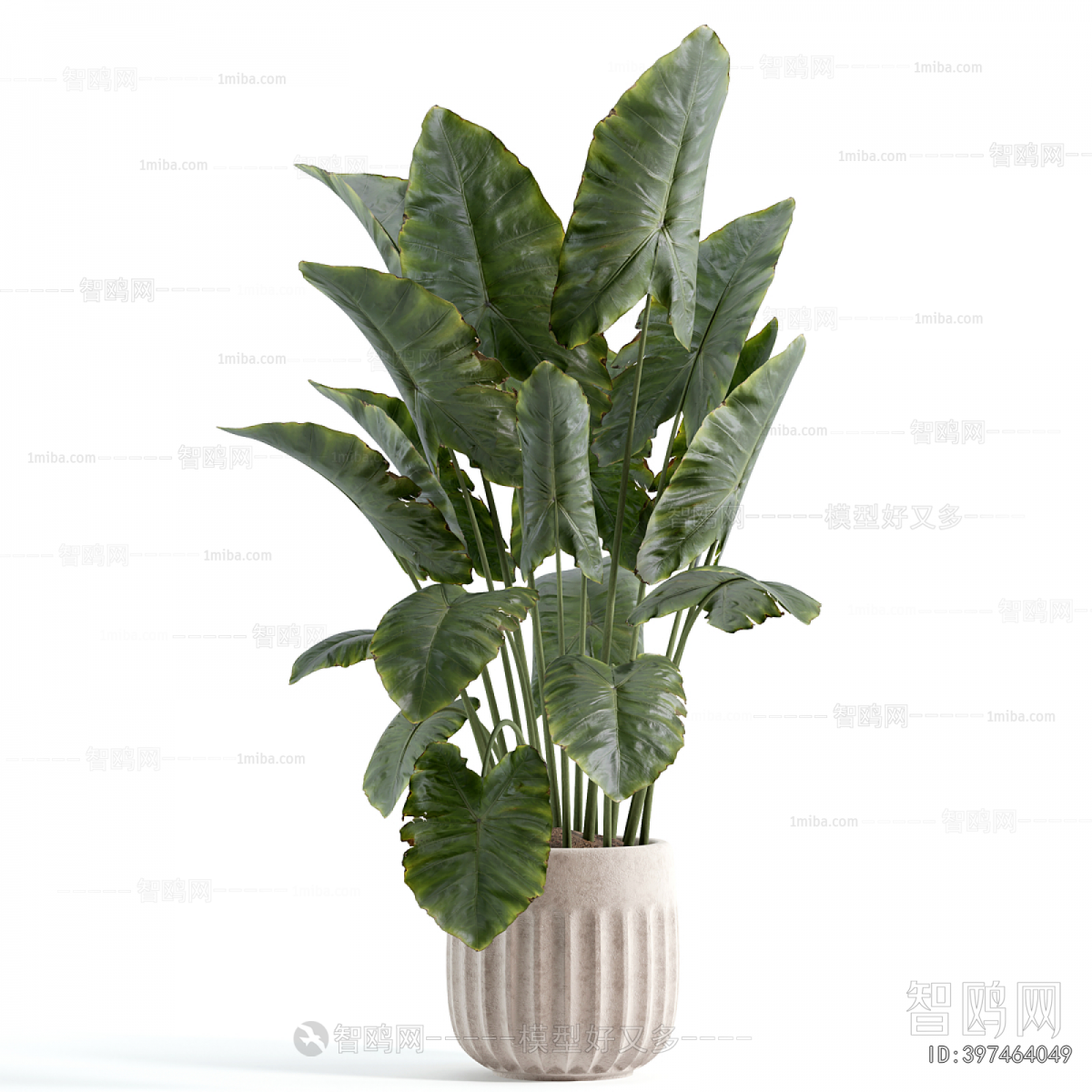 Modern Ground Green Plant Potted Plants