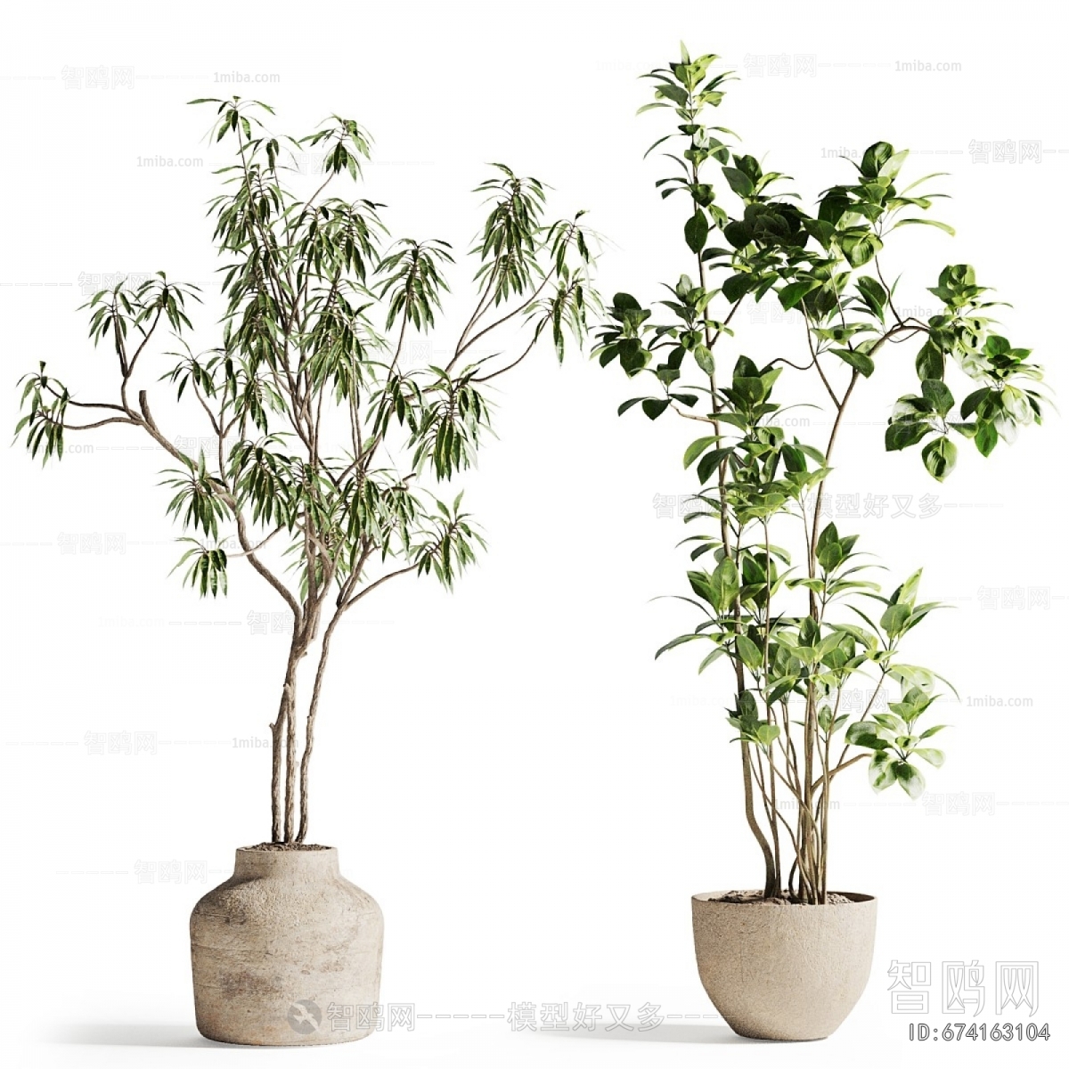 Modern Ground Green Plant Potted Plants