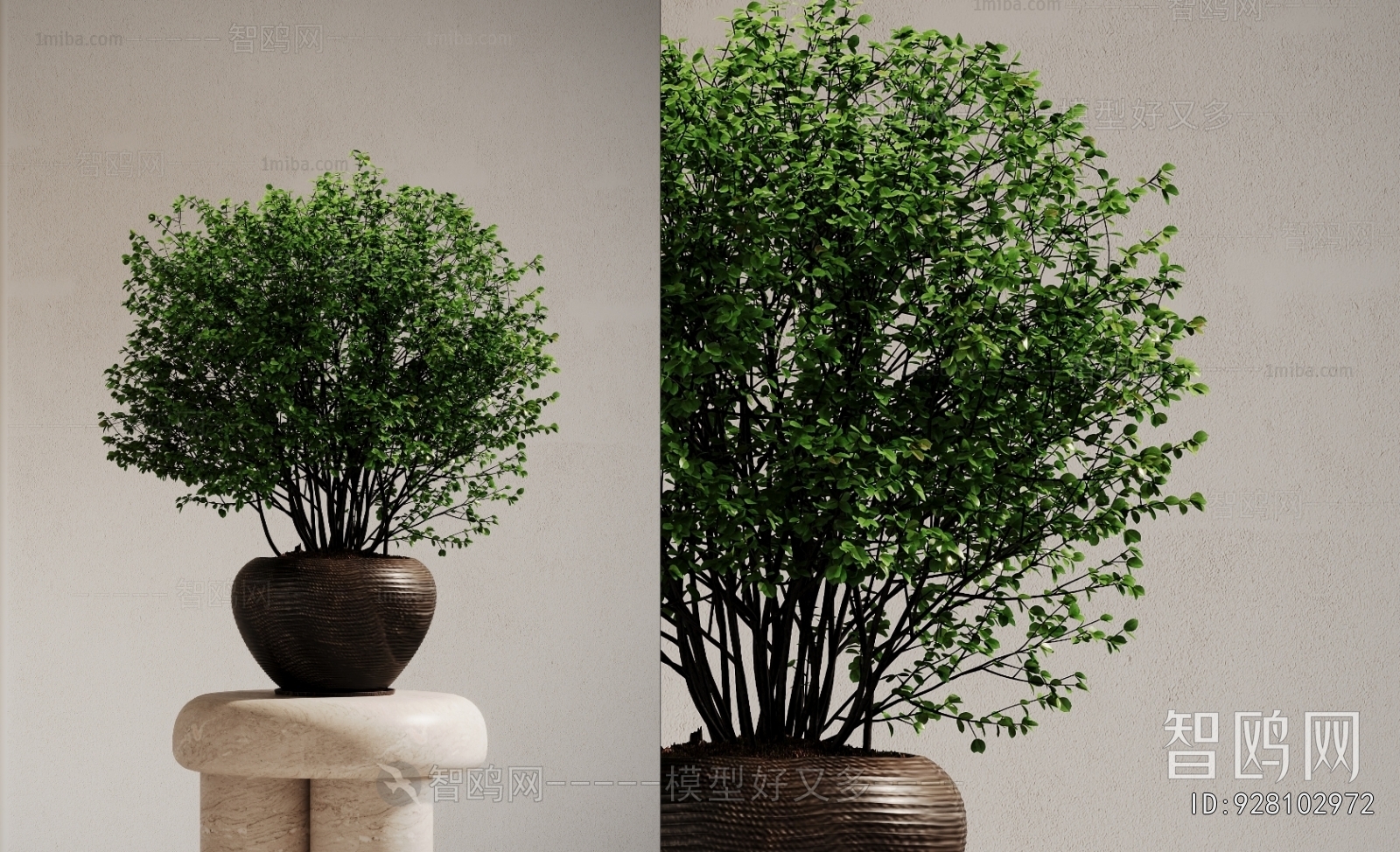 Modern Potted Green Plant