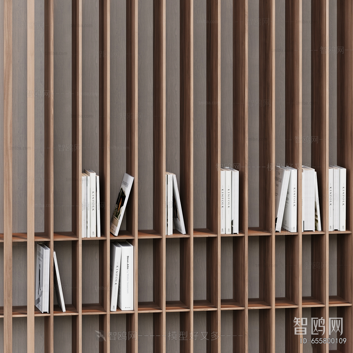 Modern Bookshelf