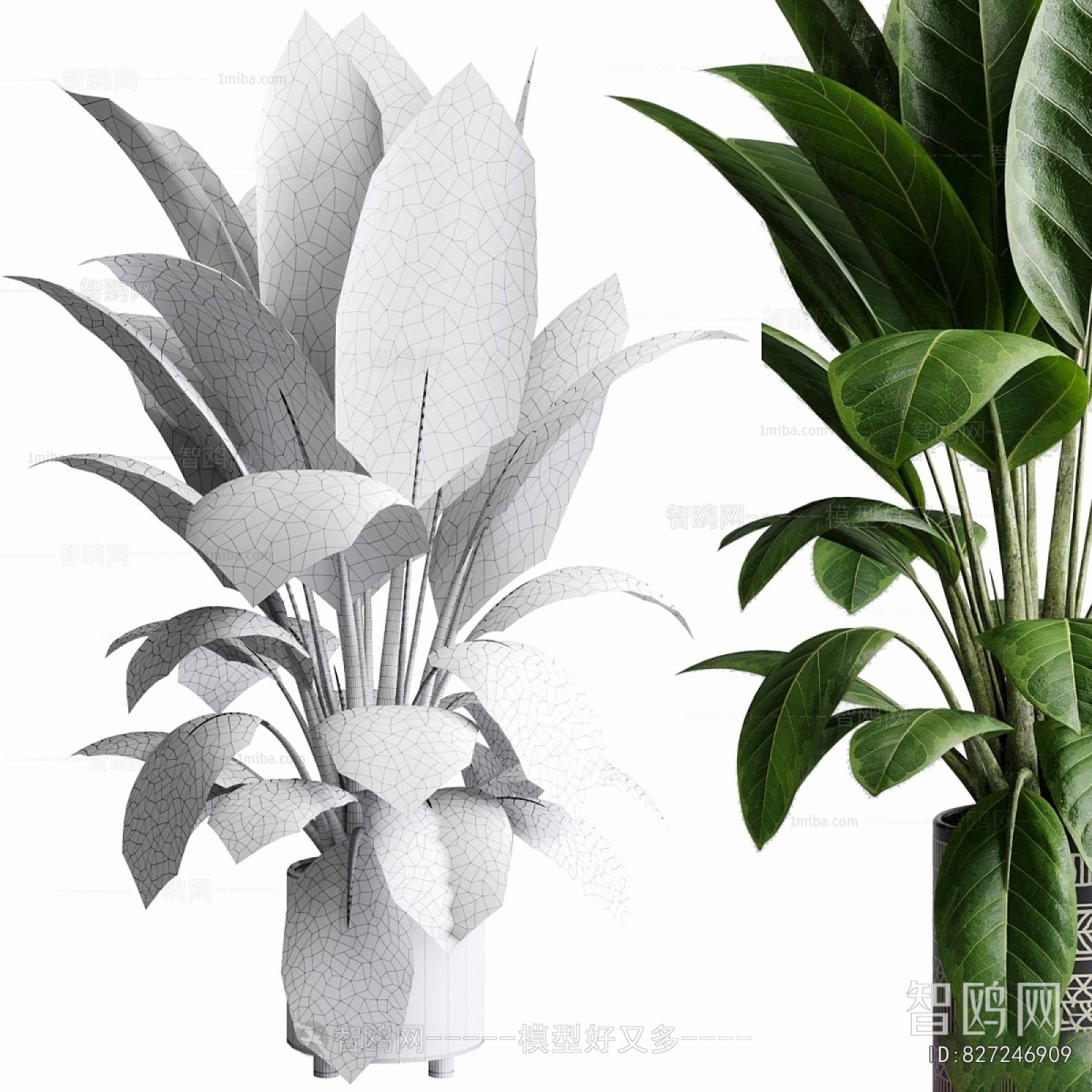 Modern Ground Green Plant Potted Plants