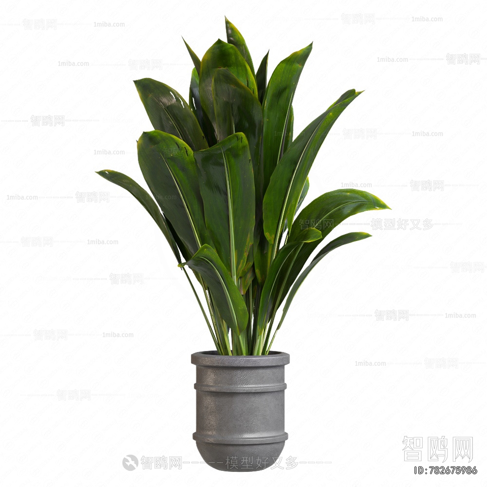 Modern Ground Green Plant Potted Plants