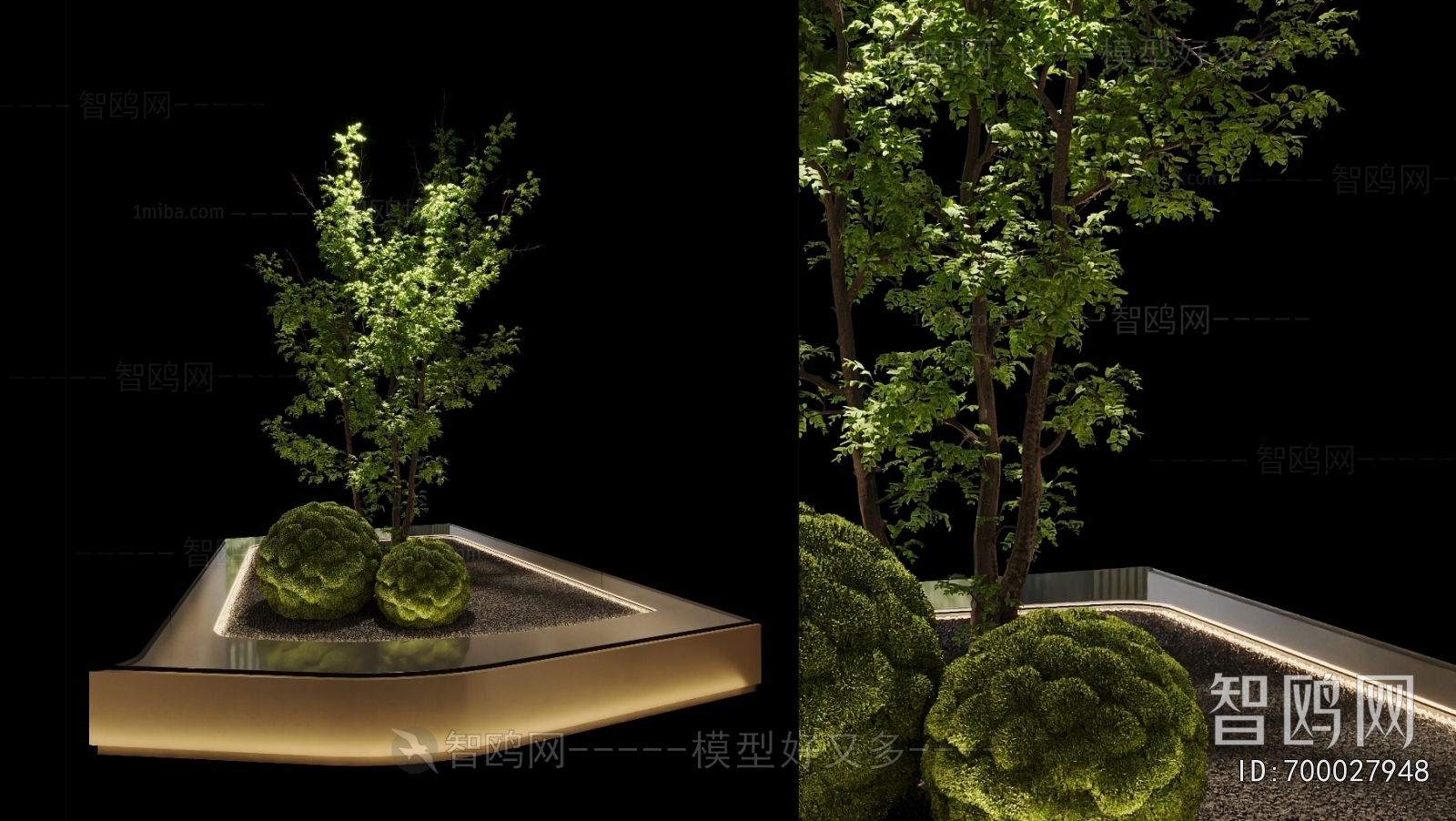 Modern Plant Landscaping